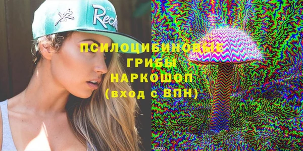 стафф Братск