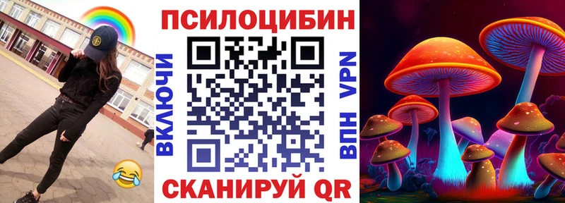Галлюциногенные грибы MAGIC MUSHROOMS  наркотики  Чебоксары 